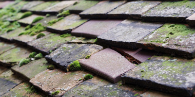Well End roof repair costs